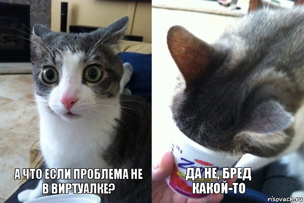 А что если проблема не в виртуалке? Да не, бред какой-то, Комикс  Да не бред-какой-то (2 зоны)