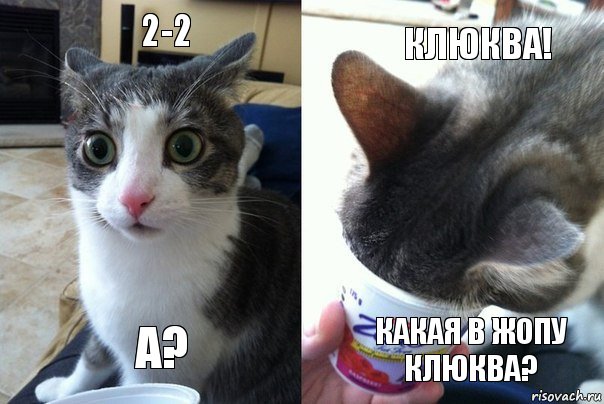 2-2 А? Клюква! КакаЯ в жопу клюква?, Комикс  Да не бред какой-то (4 зоны)