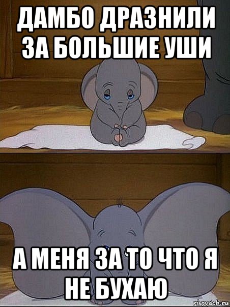 дамбо дразнили за большие уши а меня за то что я не бухаю