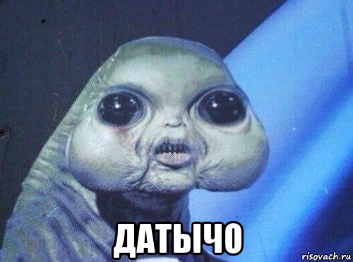  датычо