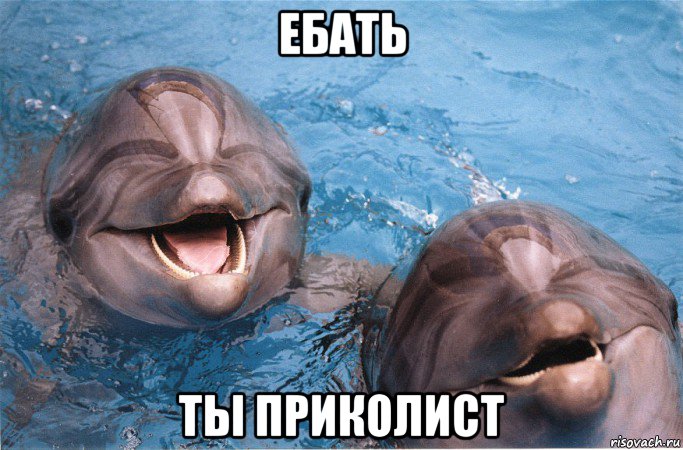 ебать ты приколист