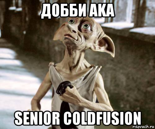 добби aka senior coldfusion, Мем добби