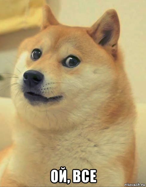  ой, все, Мем doge woof