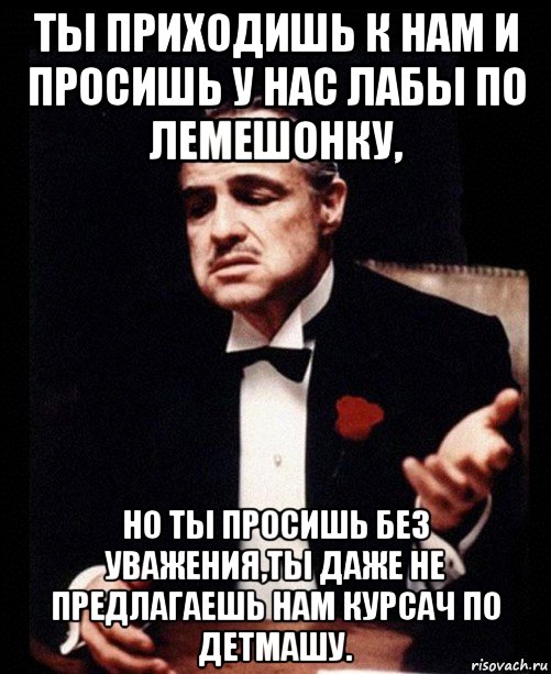 ты приходишь к нам и просишь у нас лабы по лемешонку, но ты просишь без уважения,ты даже не предлагаешь нам курсач по детмашу., Мем ты делаешь это без уважения