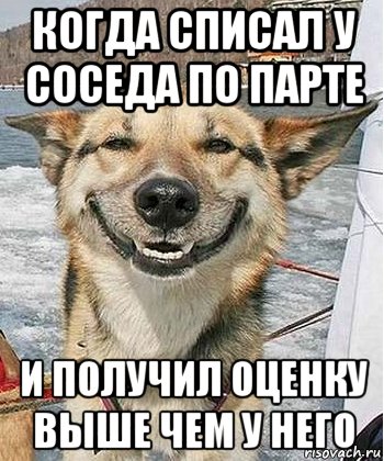 когда списал у соседа по парте и получил оценку выше чем у него, Мем Довольный пес