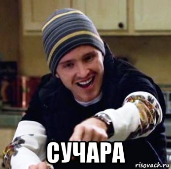  сучара