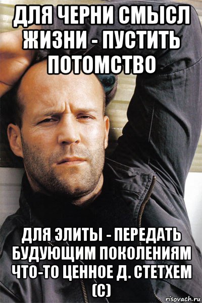 для черни смысл жизни - пустить потомство для элиты - передать будующим поколениям что-то ценное д. стетхем (с), Мем  Джейсон Стэтхэм
