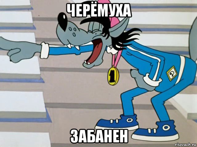 черёмуха забанен, Мем  ты лох
