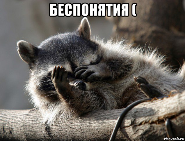 беспонятия ( , Мем Енот фейс спам