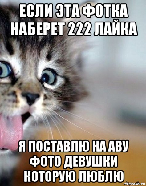 если эта фотка наберет 222 лайка я поставлю на аву фото девушки которую люблю