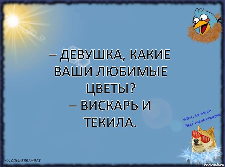 – Девушка, какие ваши любимые цветы?
– Вискарь и Текила., Комикс ФОН