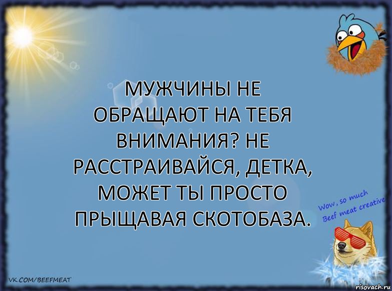 Мужчины не обращают на тебя внимания? Не расстраивайся, детка, может ты просто прыщавая скотобаза., Комикс ФОН