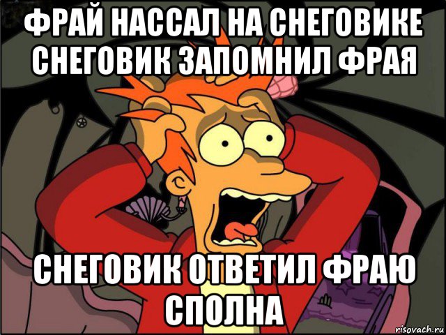 фрай нассал на снеговике снеговик запомнил фрая снеговик ответил фраю сполна, Мем Фрай в панике