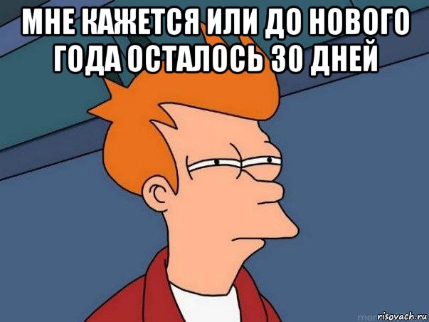 мне кажется или до нового года осталось 30 дней , Мем  Фрай (мне кажется или)