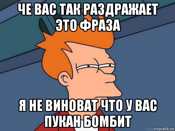 че вас так раздражает это фраза я не виноват что у вас пукан бомбит, Мем  Фрай (мне кажется или)