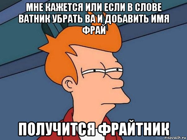 мне кажется или если в слове ватник убрать ва и добавить имя фрай получится фрайтник, Мем  Фрай (мне кажется или)