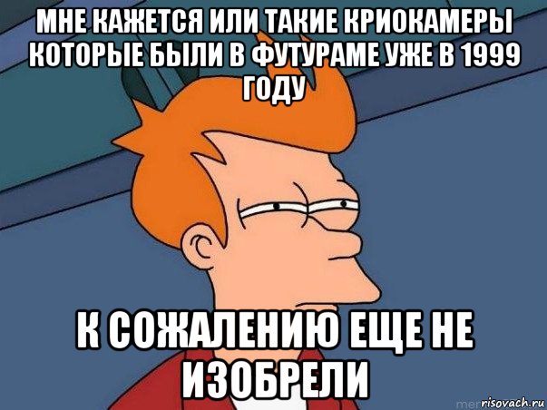 мне кажется или такие криокамеры которые были в футураме уже в 1999 году к сожалению еще не изобрели, Мем  Фрай (мне кажется или)