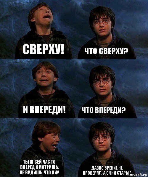 сверху! что сверху? и впереди! что впереди? ты ж сей час то вперед смотришь. Не видишь что ли? давно зрение не проверял, а очки старые., Комикс гарри и рон в пещере пауков