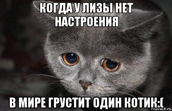 когда у лизы нет настроения в мире грустит один котик:(, Мем  Грустный кот