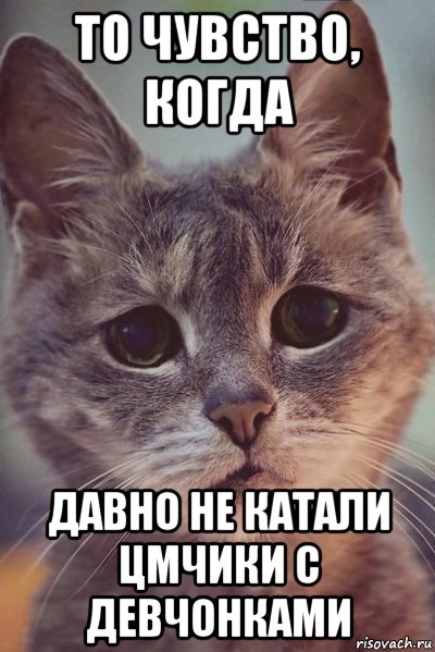 то чувство, когда давно не катали цмчики с девчонками