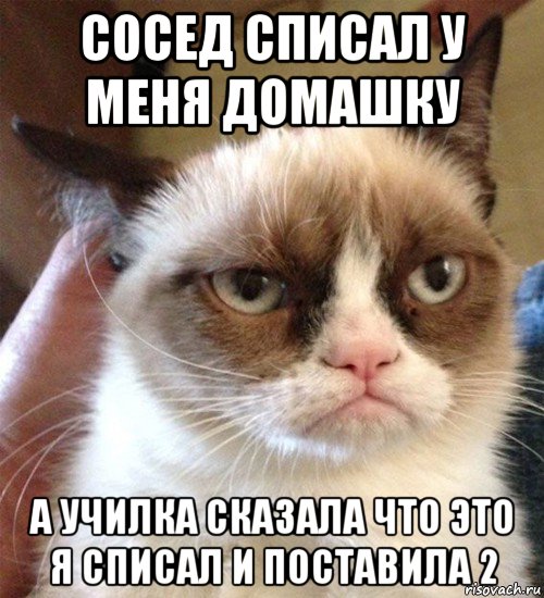 сосед списал у меня домашку а училка сказала что это я списал и поставила 2, Мем Грустный (сварливый) кот