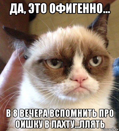 да, это офигенно... в 8 вечера вспомнить про оишку в лахту...ллять, Мем Грустный (сварливый) кот