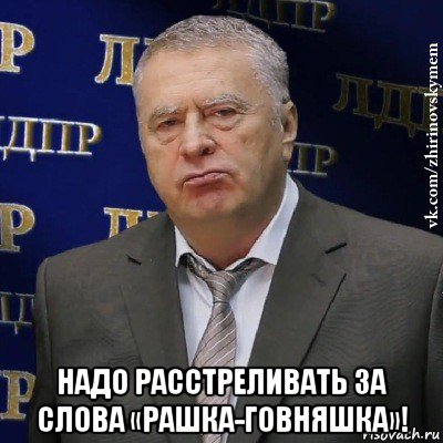  надо расстреливать за слова «рашка-говняшка»!, Мем Хватит это терпеть (Жириновский)