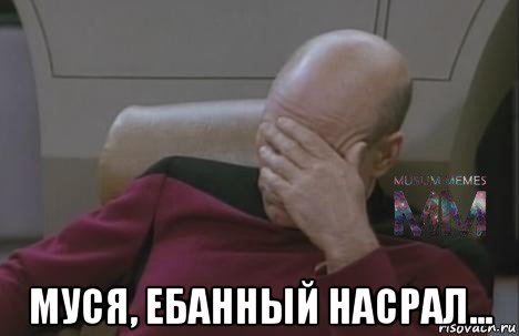  муся, ебанный насрал...