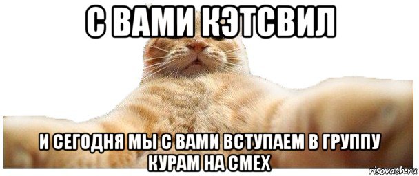 с вами кэтсвил и сегодня мы с вами вступаем в группу курам на смех, Мем   Кэтсвилл