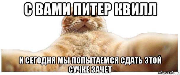 с вами питер квилл и сегодня мы попытаемся сдать этой сучке зачет, Мем   Кэтсвилл