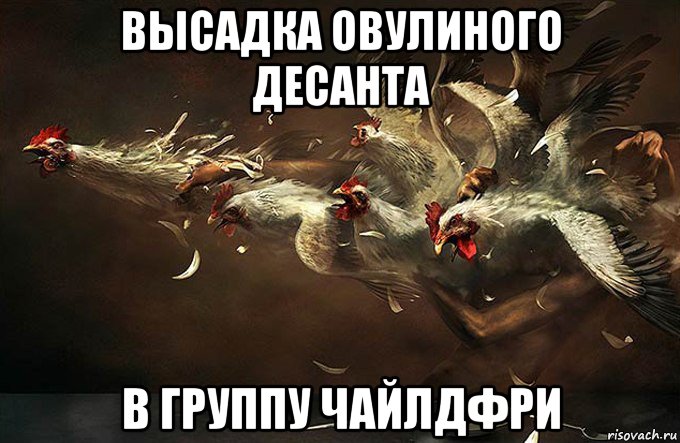 высадка овулиного десанта в группу чайлдфри, Мем Кококо