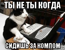 ты не ты когда сидишь за компом