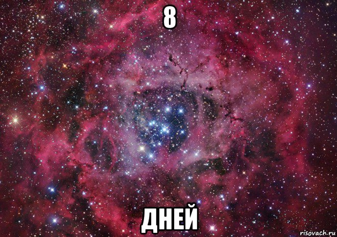 8 дней