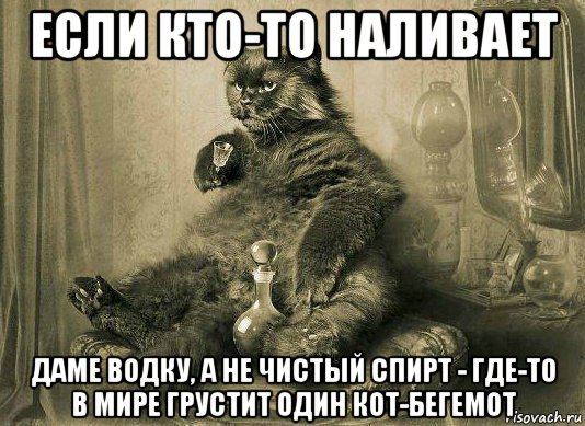 если кто-то наливает даме водку, а не чистый спирт - где-то в мире грустит один кот-бегемот