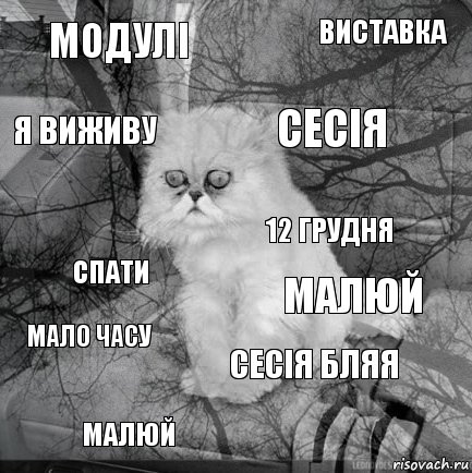 модулі малюй сесія малюй спати виставка сесія бляя я виживу мало часу 12 грудня