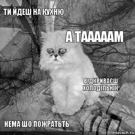 ти йдеш на кухню відкриваєш холодільнік а тааааам нема шо пожратьть      , Комикс  кот безысходность