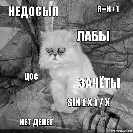 недосып зачёты лабы нет денег ЦОС R=N+1 sin ( x ) / x   , Комикс  кот безысходность