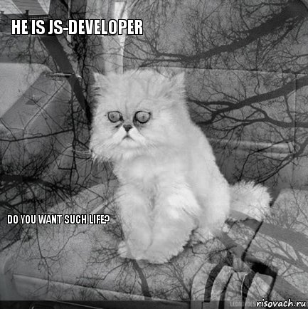 He is JS-developer        Do you want such life? , Комикс  кот безысходность