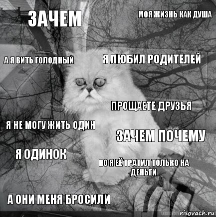 зачем зачем почему я любил родителей а они меня бросили я не могу жить один моя жизнь как душа но я её тратил только на деньги а я вить голодный я одинок прощаете друзья, Комикс  кот безысходность