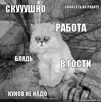 скууушно в гости работа кунов не надо блядь свои есть на работе    , Комикс  кот безысходность