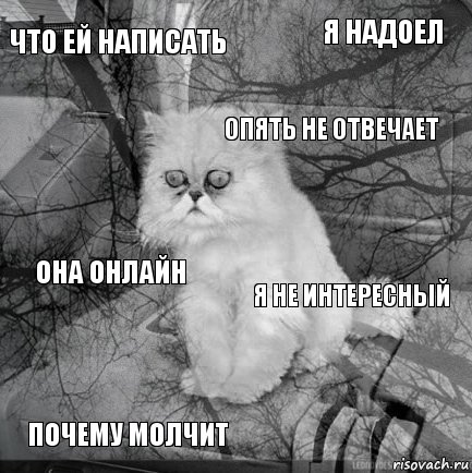 Что ей написать я не интересный опять не отвечает почему молчит она онлайн я надоел    , Комикс  кот безысходность