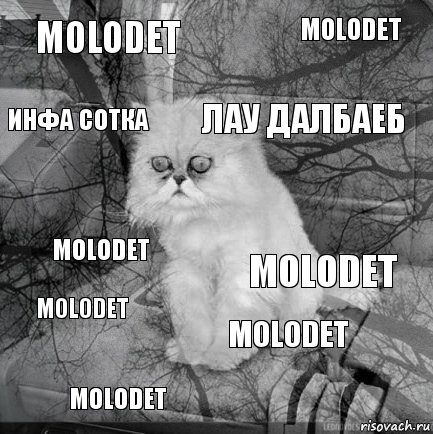 Molodet MOLODET лау далбаеб molodet Molodet Molodet molodet инфа сотка molodet , Комикс  кот безысходность