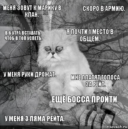 Меня зовут к Марику в клан. Мне платят голоса за рейт. Я почти 1 место в общем. У меня 3 ляма рейта. У меня руки дрожат. Скоро в армию. Ещё босса пройти. В 6 утра вставать, чтоб в топ успеть.  , Комикс  кот безысходность