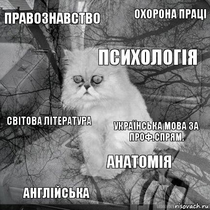 Правознавство Українська мова за проф.спрям. Психологія Англійська Світова література Охорона праці Анатомія   , Комикс  кот безысходность