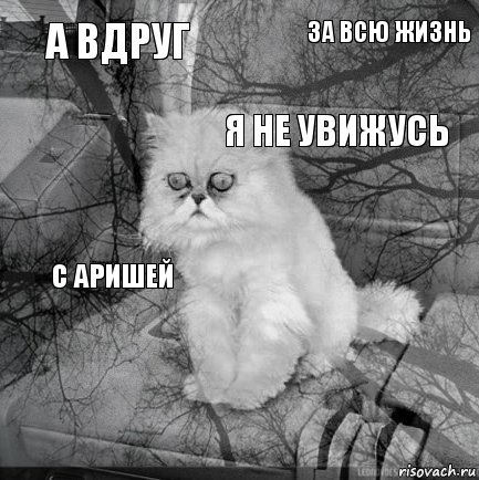 А вдруг  Я не увижусь  С Аришей За всю жизнь    , Комикс  кот безысходность