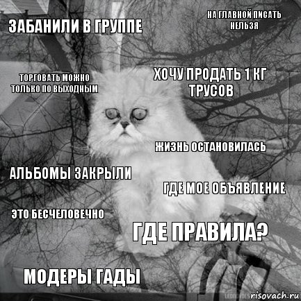 Забанили в группе Где мое объявление Хочу продать 1 кг трусов Модеры гады Альбомы закрыли На главной писать нельзя Где правила? Торговать можно только по выходным Это бесчеловечно Жизнь остановилась, Комикс  кот безысходность