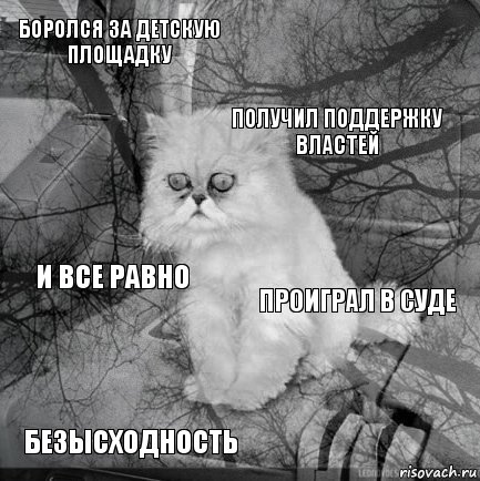 Боролся за детскую площадку Проиграл в суде Получил поддержку властей Безысходность И все равно     , Комикс  кот безысходность