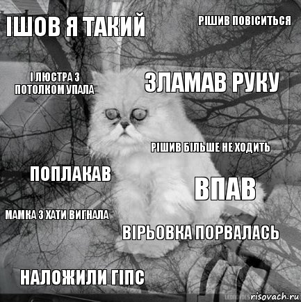 Ішов я такий Впав Зламав руку Наложили гіпс Поплакав Рішив повіситься Вірьовка порвалась І люстра з потолком упала Мамка з хати вигнала Рішив більше не ходить, Комикс  кот безысходность