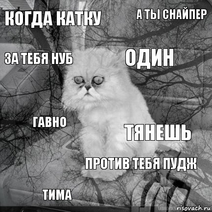 когда катку тянешь один тима гавно а ты снайпер против тебя пудж за тебя нуб  , Комикс  кот безысходность