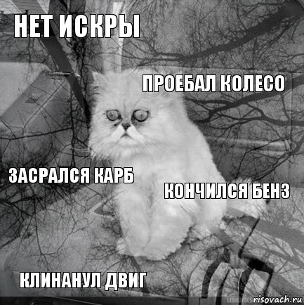 Нет искры кончился бенз проебал колесо клинанул двиг засрался карб     , Комикс  кот безысходность